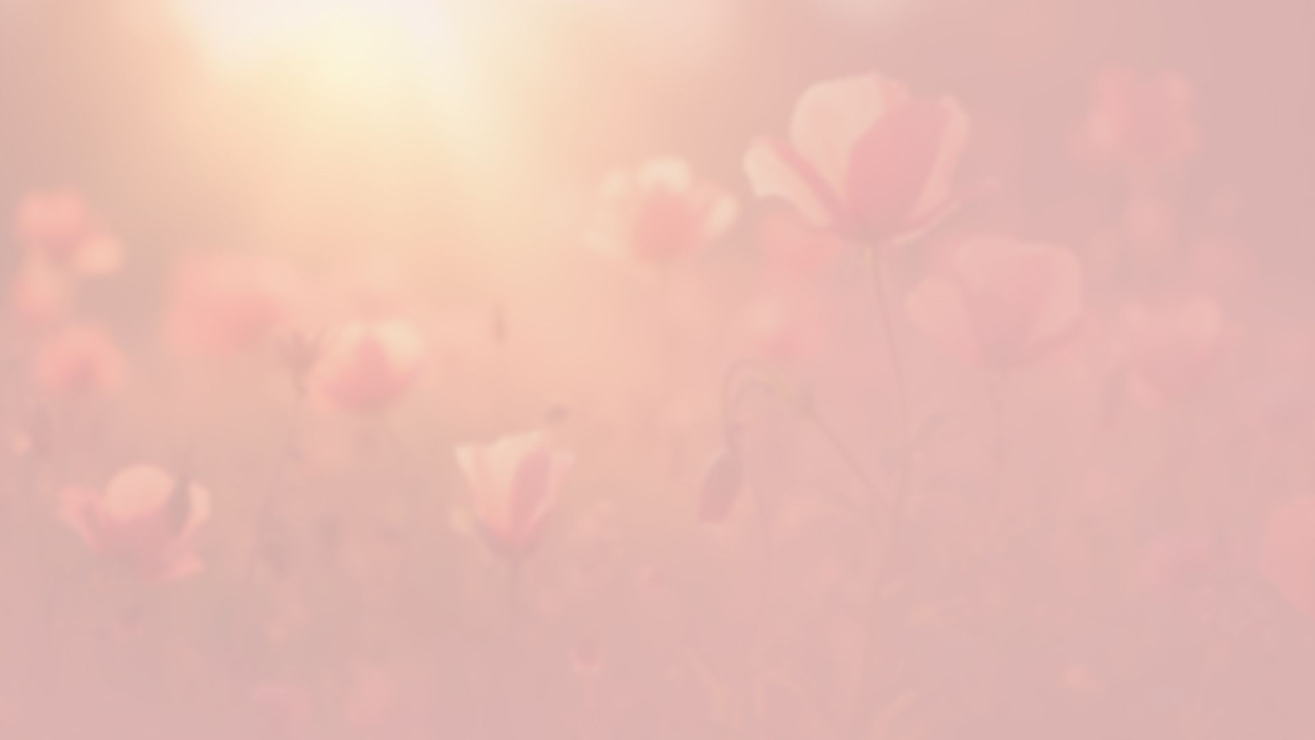 Fundo em tons suaves de rosa com flores delicadas e desfocadas ao fundo.